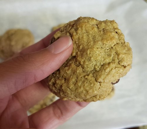 Biscuits aux pépites de chocolat sans gluten avec avoine moulue