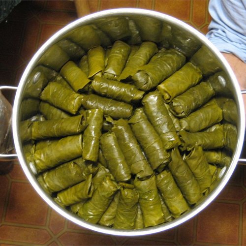 Dolmas (Feuilles de Vigne Farcies)