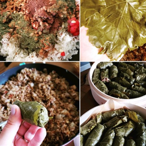 Dolmas (Feuilles de Vigne Farcies) — Image 2