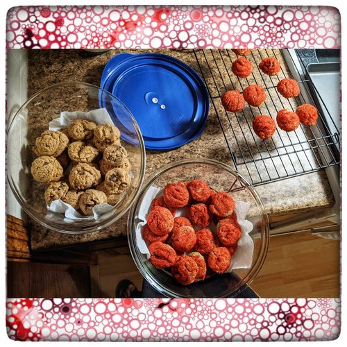 Biscuits aux pépites de chocolat à la noix de coco et à la farine d'amandes — Image 1